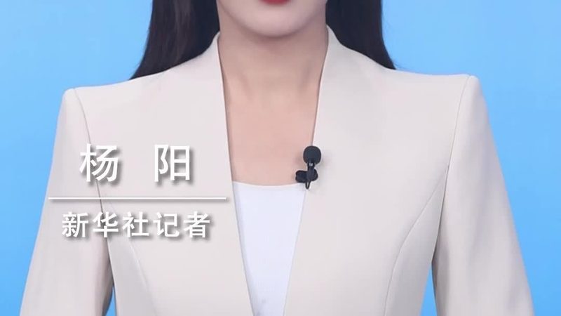 智慧解决方案在大型项目中的实践与挑战**